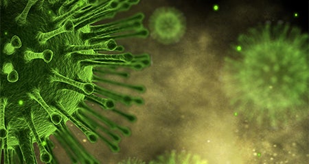 Influenza Education Sheet