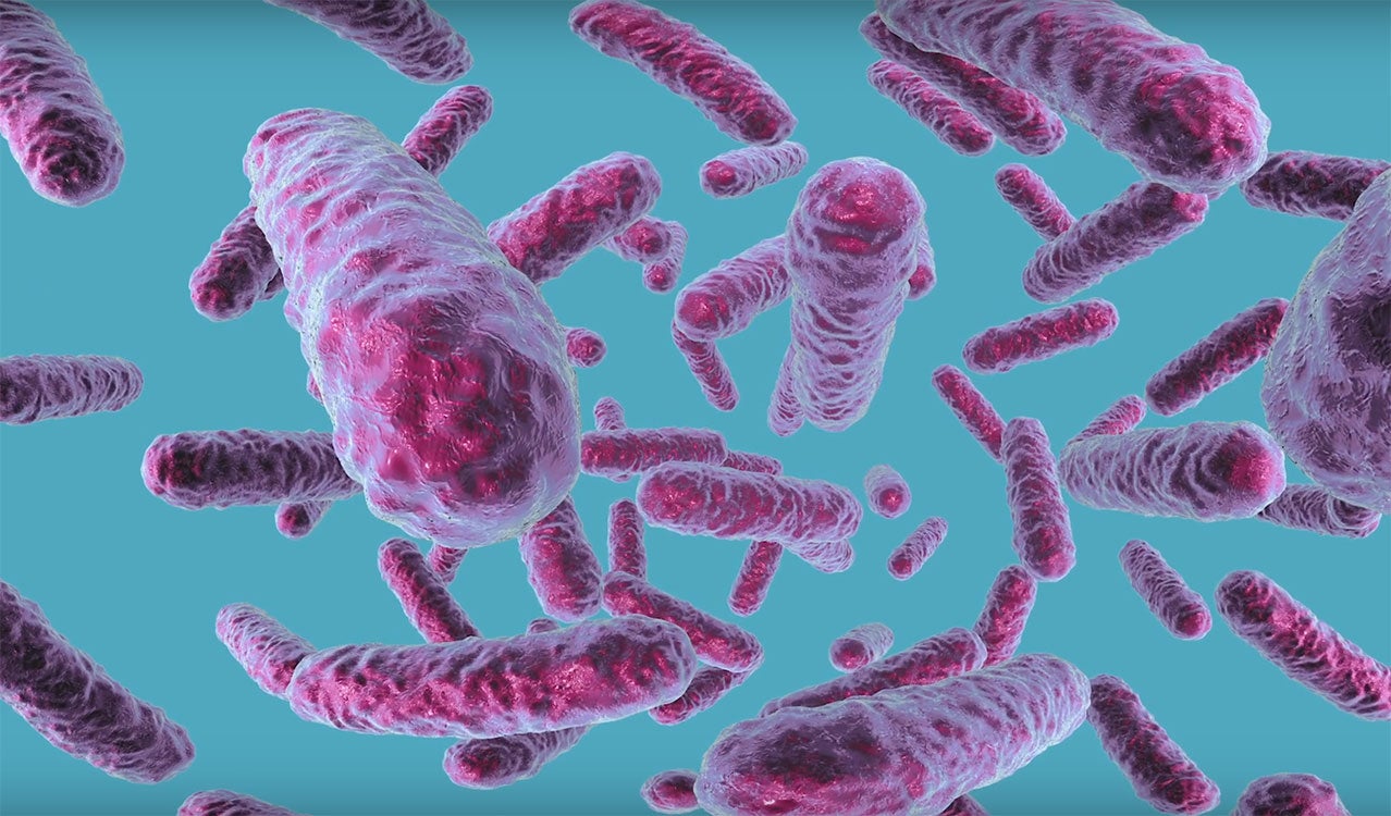 carbapenem resistant enterobacteriaceae carbapenem resistant enterobacteriaceae